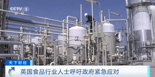 天然氣價格暴漲沖擊英倫 化肥廠停產引發食品與畜牧飼料鏈危機