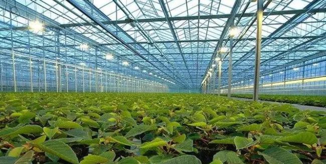 【智慧農(nóng)業(yè)】智慧農(nóng)業(yè)八大應(yīng)用場景